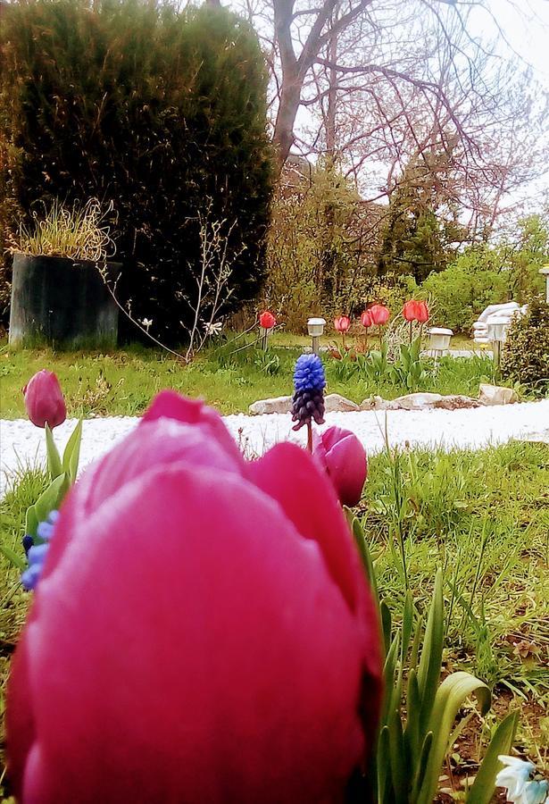 Pensjonat La Mirabelle-Casteil Country House Zewnętrze zdjęcie