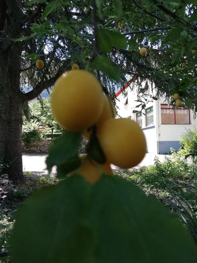 Pensjonat La Mirabelle-Casteil Country House Zewnętrze zdjęcie
