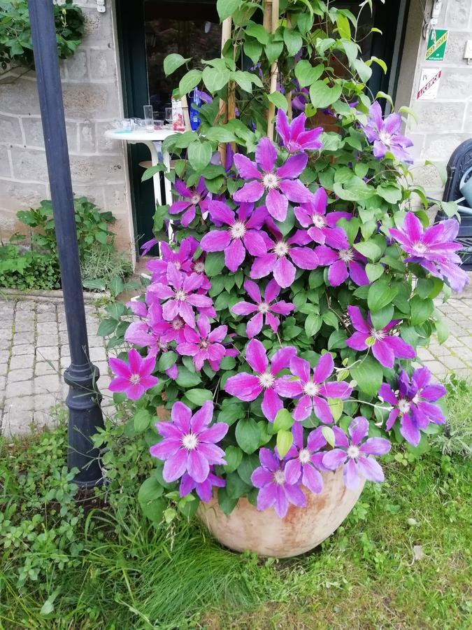 Pensjonat La Mirabelle-Casteil Country House Zewnętrze zdjęcie