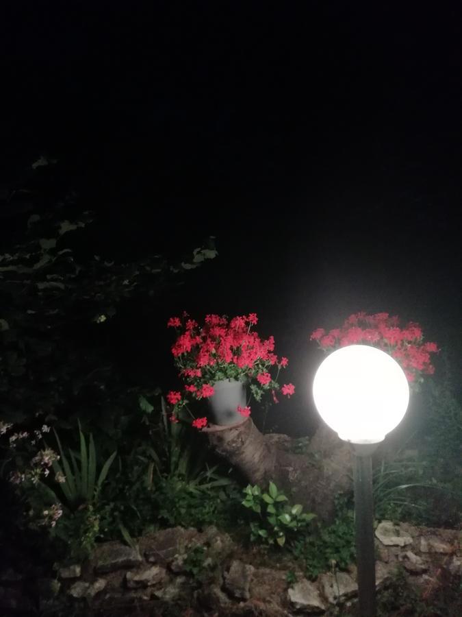 Pensjonat La Mirabelle-Casteil Country House Zewnętrze zdjęcie