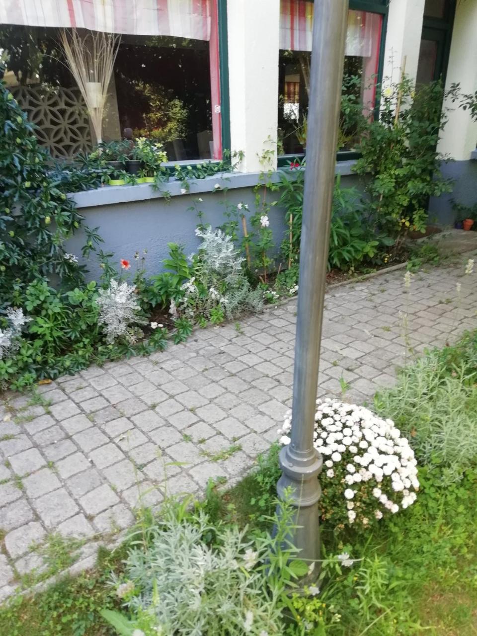 Pensjonat La Mirabelle-Casteil Country House Zewnętrze zdjęcie